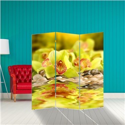 Ширма "Орхидея в отражении", 160 × 150 см