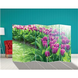 Ширма "Тюльпаны. декор 12" 250 × 160 см