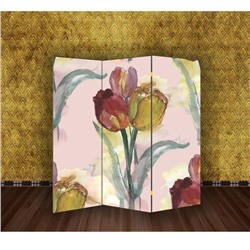 Ширма "Тюльпаны", 160 × 150 см