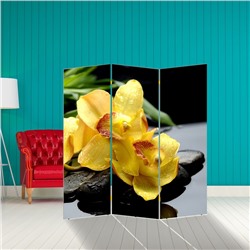 Ширма "Орхидея на камнях", 160 × 150 см