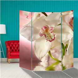 Ширма "Орхидея. Айвори", 160 × 160 см