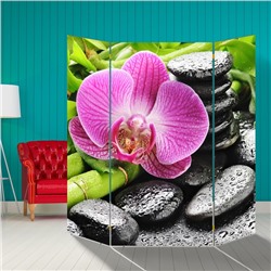 Ширма "Розовая орхидея на камнях", 160 × 160 см