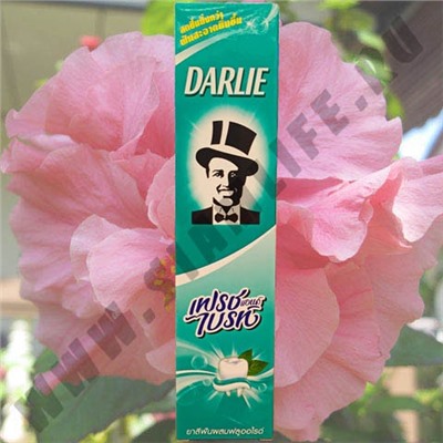 Зубная паста Дарли с Ментолом Darlie Fresh n Brite 140гр.