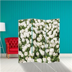 Ширма "Тюльпаны. декор 6" 150 × 160 см