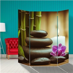 Ширма "Орхидея. Камни", 160 × 160 см