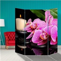 Ширма "Орхидея со свечой", 160 × 160 см