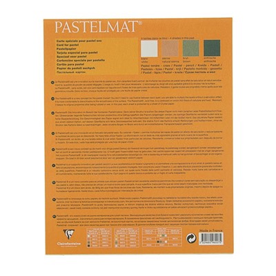 Альбом для пастели В4 240*300 мм Clairefontaine Pastelmat 12 листов склейка 360 г/м2, 4цв 96007С