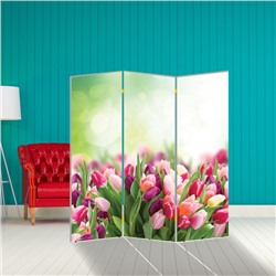 Ширма "Тюльпаны. декор 8" 150 × 160 см