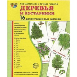 Набор карточек. Деревья и кустарники. 16 демонстрационных картинок. 174х220