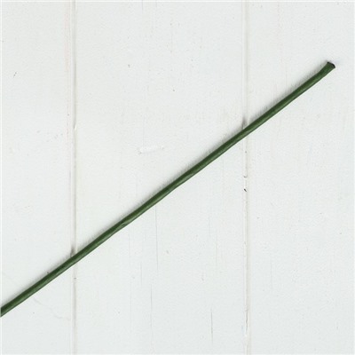 Проволока для изготовления искусственных цветов "Зелёная" 60 см сечение 4 мм