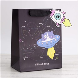 Пакет подарочный (S) "Kitten Galaxy", (18*23*10)