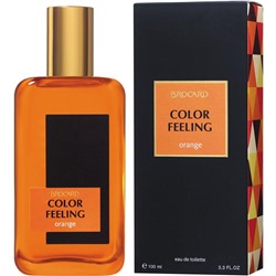 Туалетная вода мужская Color Feeling Orange, 100 мл