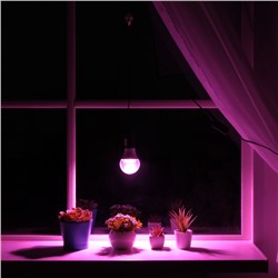 Светильник для растений 12 Вт, 10 мкмоль/с, провод 1,7 метра с выключателем, липучка на окно