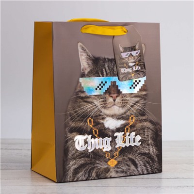 Пакет подарочный (S) "Thug life", cat gray (18*23*10)