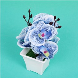 Цветы искусственные "Орхидейная фантазия" цвет голубой 41683