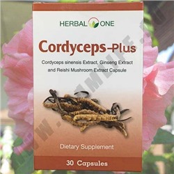 Капсулы Кордицепс Плюс Herbal One Cordyceps-Plus