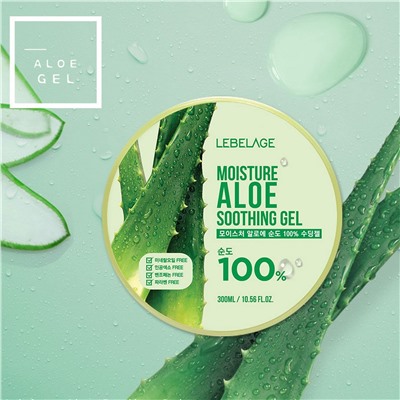 Увлажняющий гель с алоэ Lebelage Moisture Aloe 100% Soothing Gel
