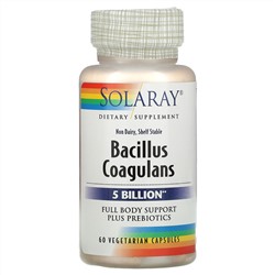 Solaray, Bacillus Coagulans, 5 Billion,  60 Vegetarian Capsules