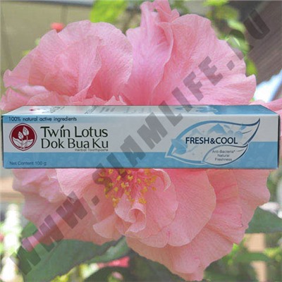 Зубная паста Twin Lotus Fresh & Cool 30 гр.