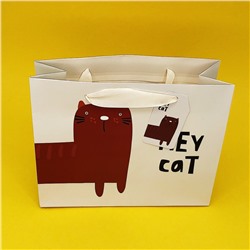 Пакет подарочный (S) "Hey cat face"