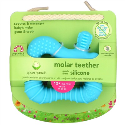 Green Sprouts, Molar Teether, 12+ Months, Aqua, 1 Teether