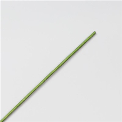Проволока для изготовления искусственных цветов "Зелёная" 40 см сечение 2,5 мм
