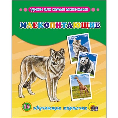 Млекопитающие