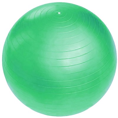 Мяч гимнастический Sportage 55 см 600гр микс цветов