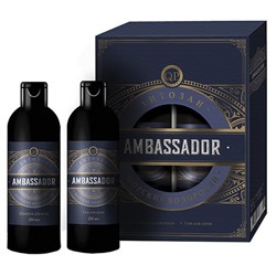 Наб.№1120 QP Ambassad/Blu шам+гель