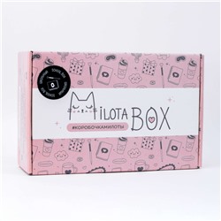 MilotaBox "School Box"