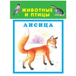 Животные и птицы