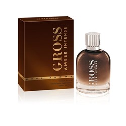 Туалетная вода мужская Gross Amber Intense, 100 мл