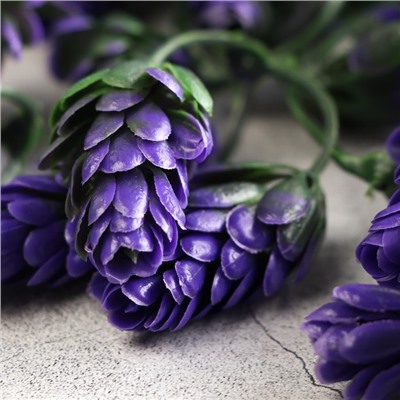 Декоративный хмель 6,5 см, фиолетовый