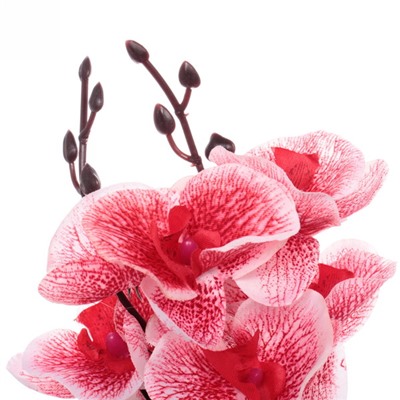 Цветы искусственные "Орхидейная фантазия" цвет красный 41683