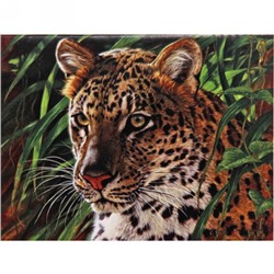 Алмазная мозаика 40*50см "Леопард" с полным заполнением, напечатанной рамкой, на деревянном подрамнике J50261