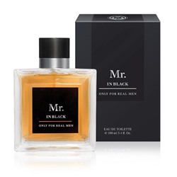 Туалетная вода мужская Mr. In Black, 100 мл