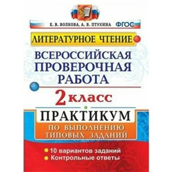 Литературное чтение. 2 класс. Всероссийская проверочная работа. Практикум по выполнению типовых заданий. 10 вариантов. Волкова Е. В., Птухина А. В.