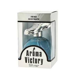 Туалетная вода мужская Aroma Victory Silver, 100 мл