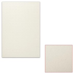 Картон белый грунтованный для масляной живописи, 25х35 см, односторонний, толщина 0,9 мм, масляный грунт